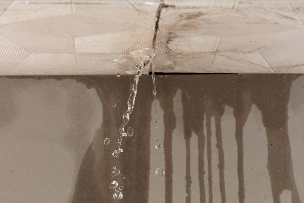 Professional Burst Pipe Cleanup technician working in Thrall, TX